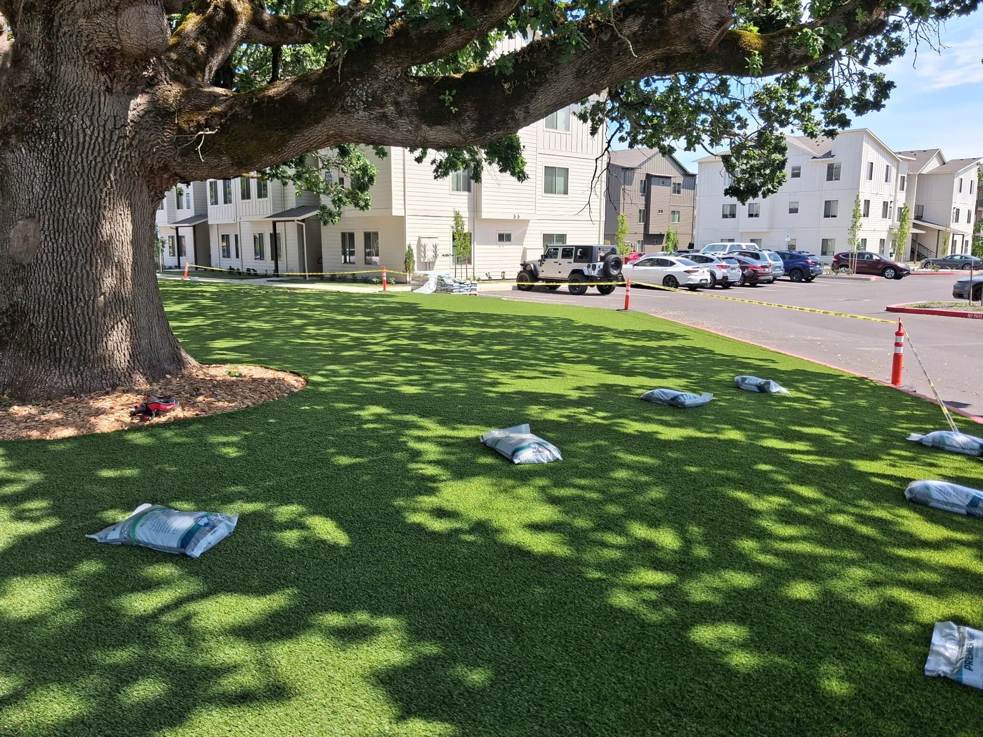 Multi-Family Lawn & Common Turf