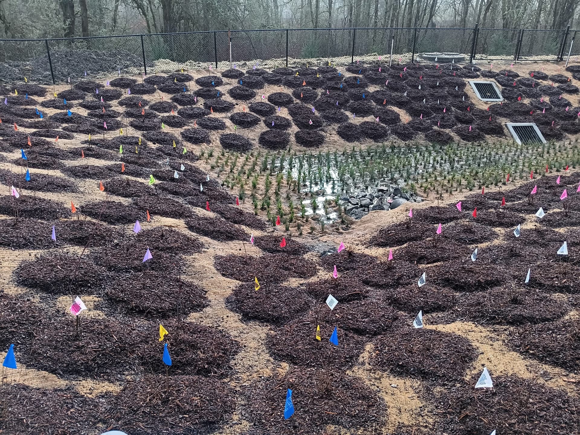 Civil Stormwater Retention Bioswale