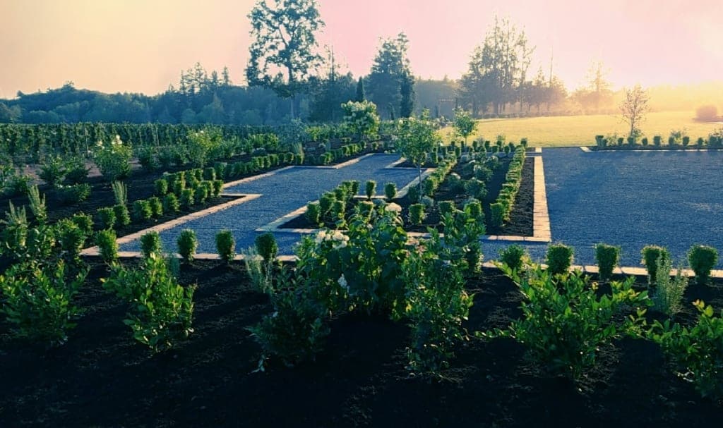 Commercial Grounds & Boxwood Parterre