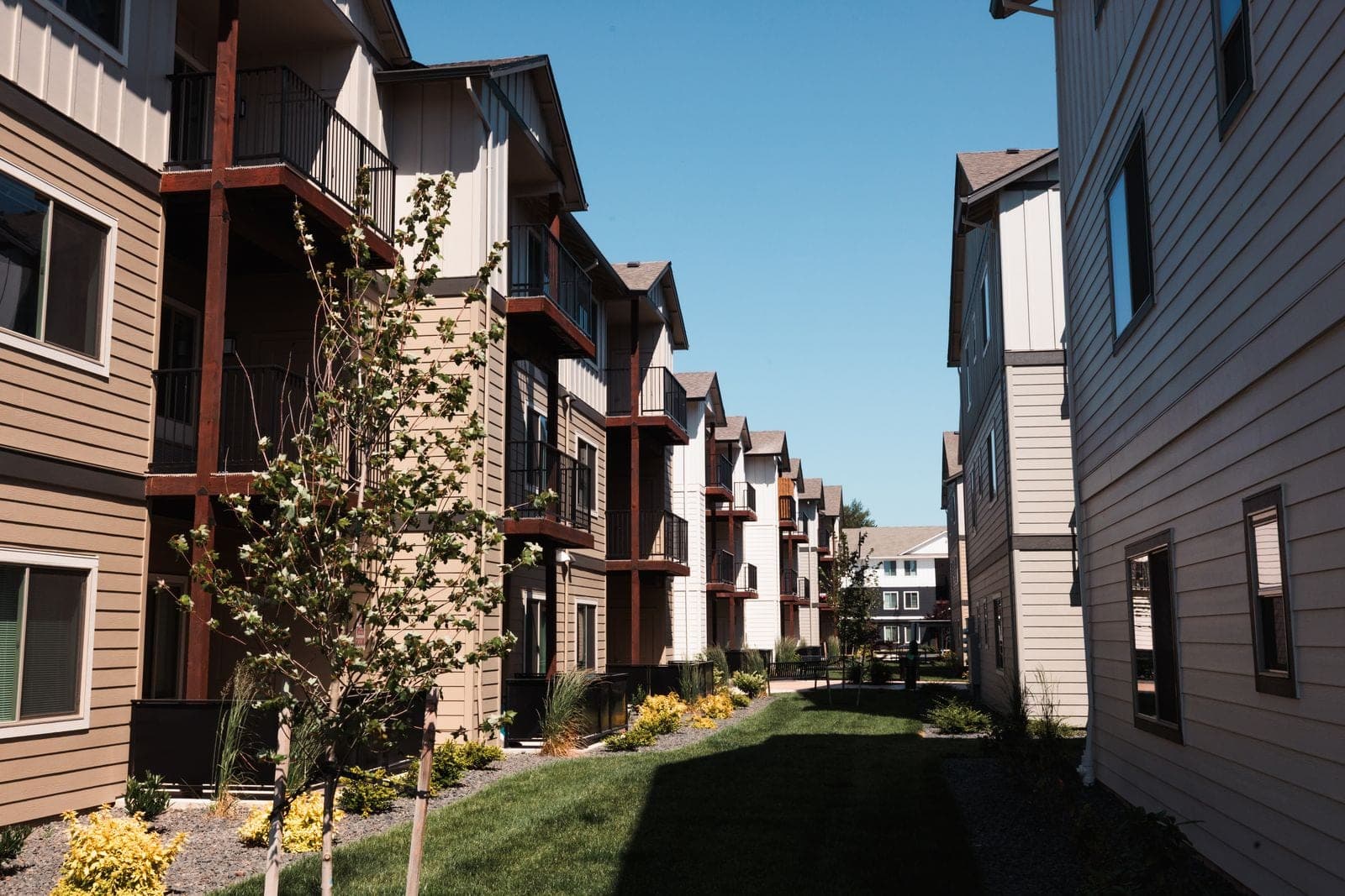 Multi-Family Courtyard Lawn & Plantings