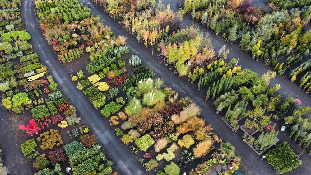 The Nursery Outlet 40+ acre facility aerial